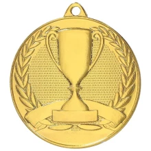 Medal złoty ogólny  z pucharkiem