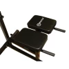 Ławka do ćwiczeń brzucha i grzbietu MASTER Roman Chair